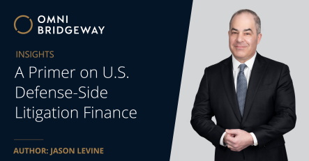A Primer on U.S. Defense-Side Litigation Finance