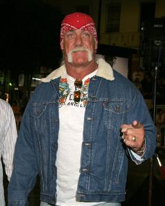 hulk hogan v gawker