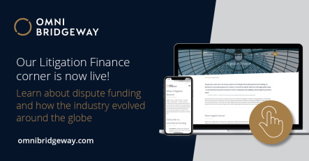A new resource for learning the fundamentals of litigation finance