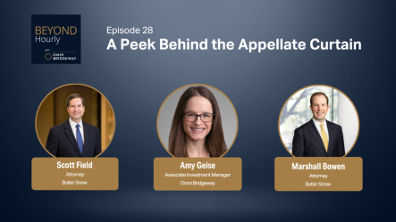 A peek behind the appellate curtain: Advice for counsel from behind the bench